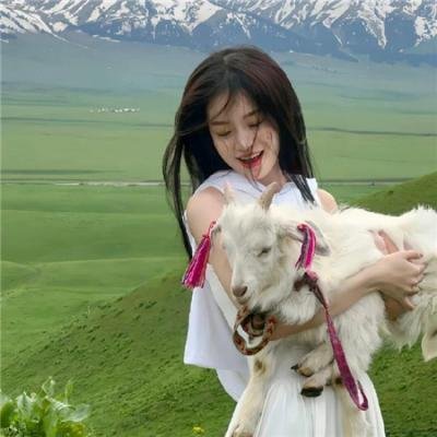 霸王血战史海报