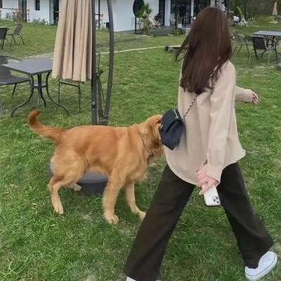 阿姆斯特丹海报